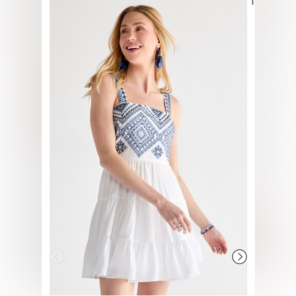Chrystal Fit And Flare Embroidered Mini Dress